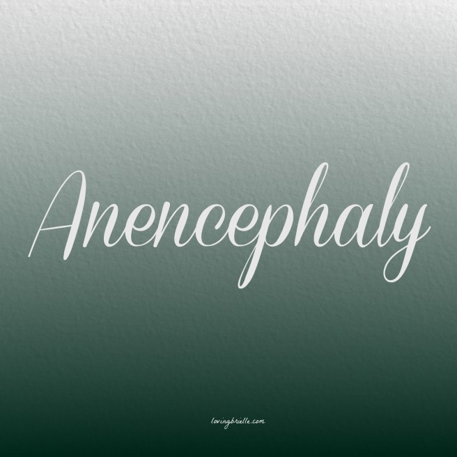 23989550723_a208b65f14_o