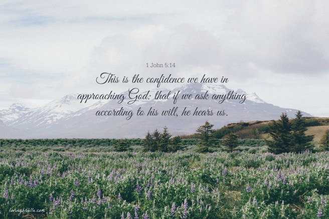 24508868752_416c7360d0_o