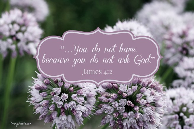 24510212272_a39d9b310d_o