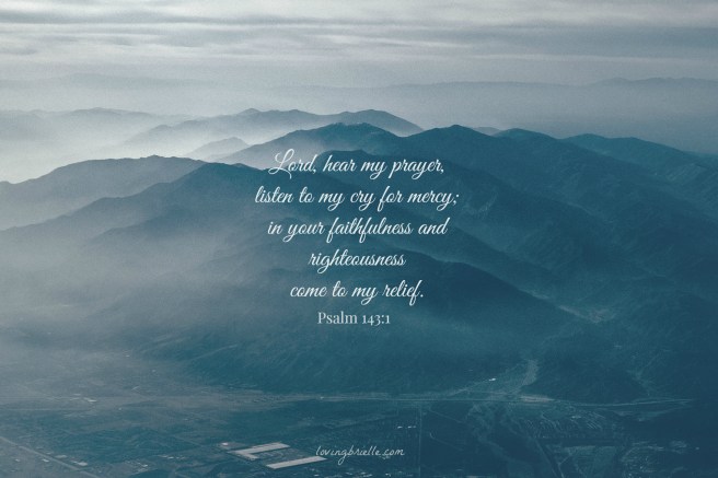 24591688226_4bc3875928_o