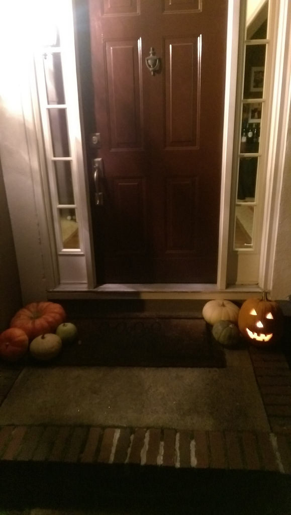 24323894040_d4478e5f95_b