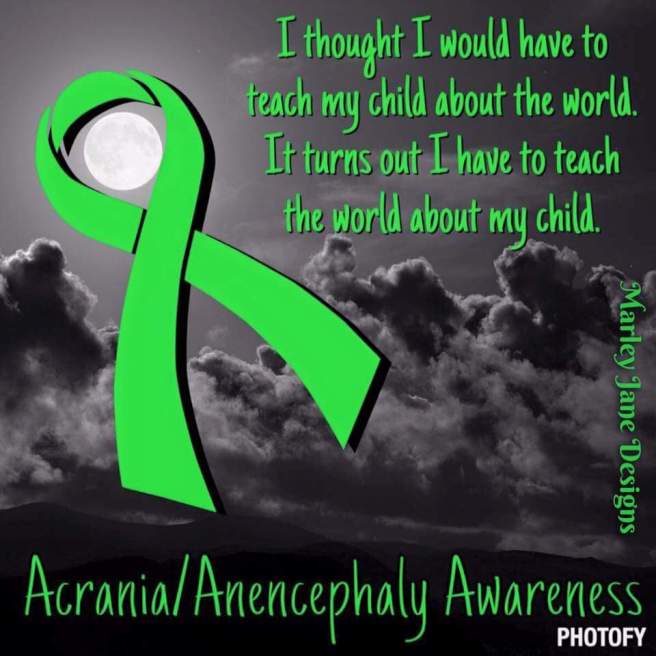 11951409_918141621580632_2317232347634533064_n