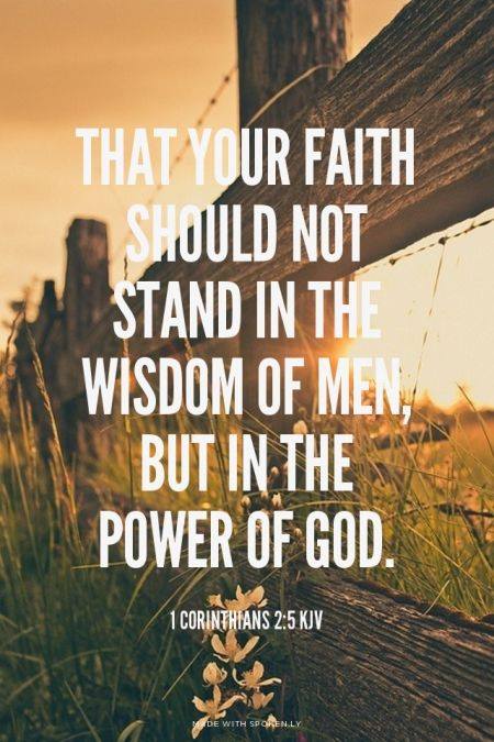 12049190_932991803428947_3734446923039016500_n