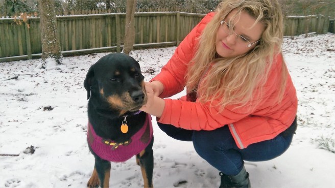 25871865806_cb8d823f0f_b