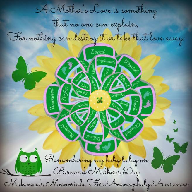 13063252_620872724755809_7700712794384282403_o